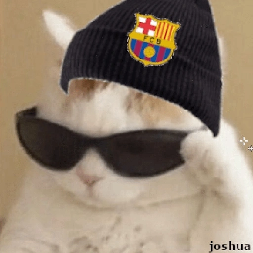 Figurinha de BARCELONA❤️💙 para WhatsApp (10 de 30)