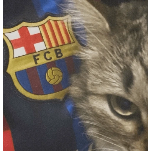Figurinha de BARCELONA❤️💙 para WhatsApp (12 de 30)