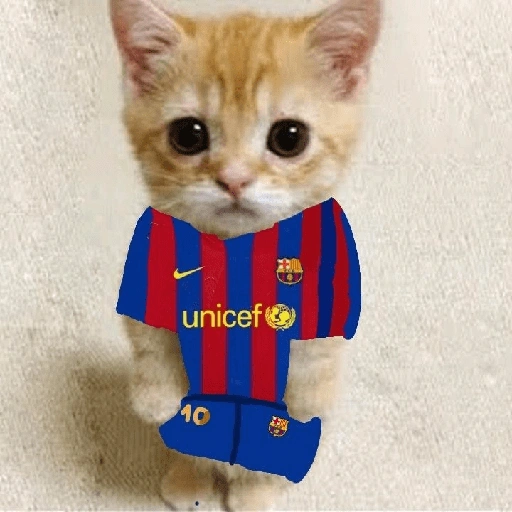 Figurinha de BARCELONA❤️💙 para WhatsApp (17 de 30)