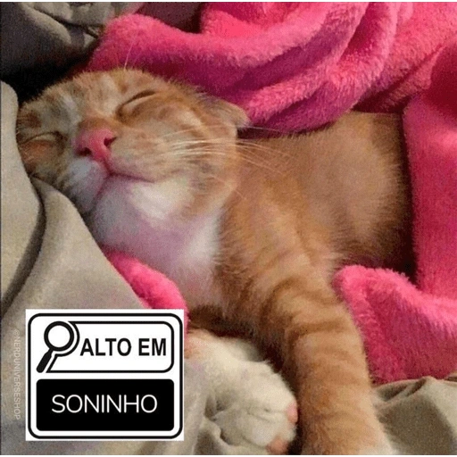 Figurinha de BICHINHOS FOFOS ALTOS EM... para WhatsApp (4 de 15)