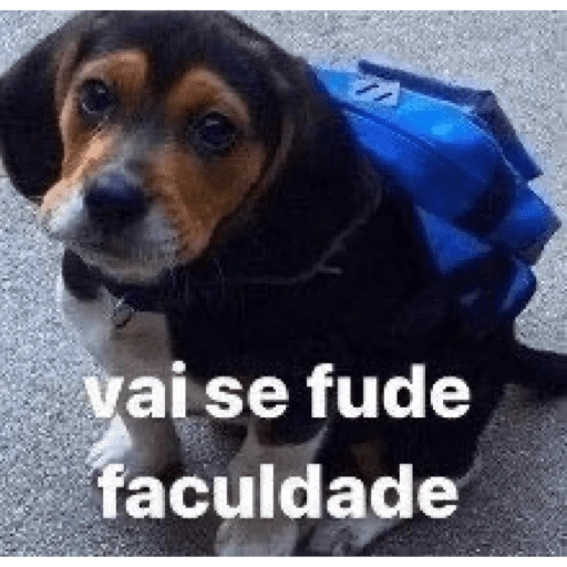 Figurinha de BICHINHOS FOFOS ALTOS EM... para WhatsApp (9 de 15)