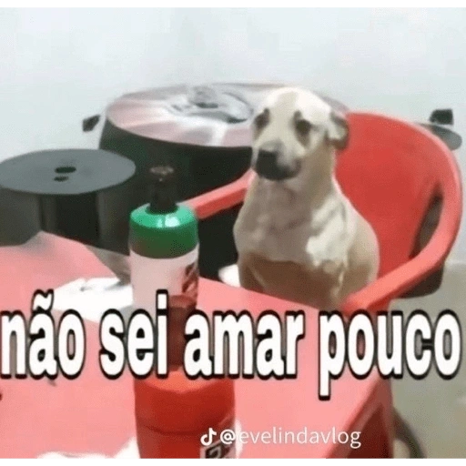Figurinha de BICHINHOS FOFOS ALTOS EM... para WhatsApp (10 de 15)