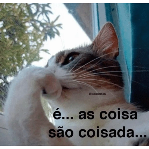Figurinha de BICHINHOS FOFOS ALTOS EM... para WhatsApp (14 de 15)