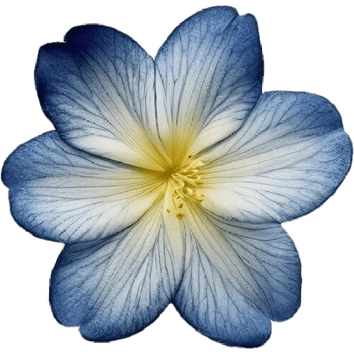 Figurinha de blue flower (1 de 17)