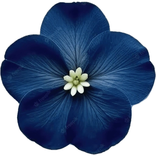Figurinha de blue flower (3 de 17)