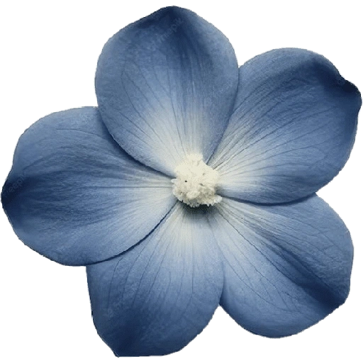 Figurinha de blue flower (6 de 17)