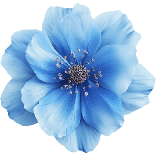 Figurinha de blue flower (7 de 17)