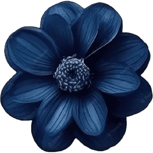 Figurinha de blue flower (9 de 17)