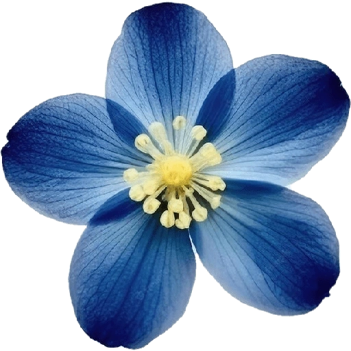 Figurinha de blue flower (10 de 17)
