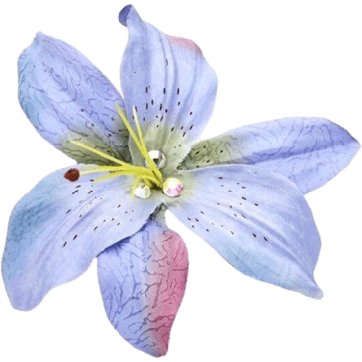 Figurinha de blue flower (11 de 17)