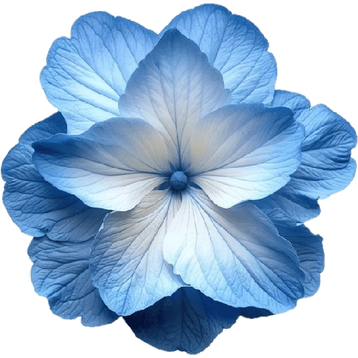 Figurinha de blue flower (17 de 17)
