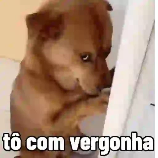Figurinha de cachorro responde para WhatsApp (4 de 15)