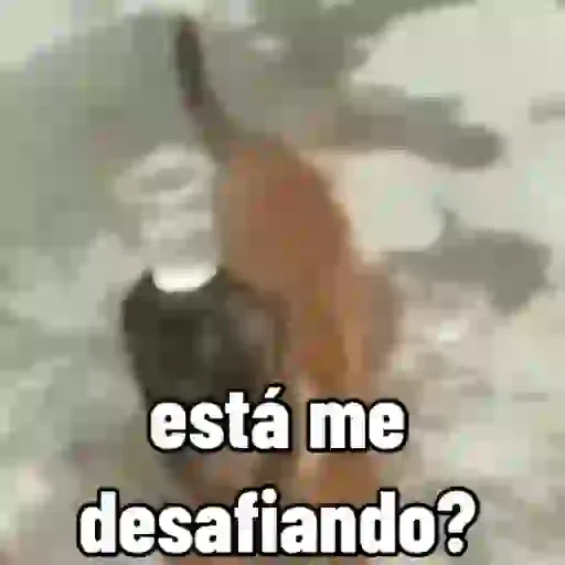 Figurinha de cachorro responde para WhatsApp (5 de 15)