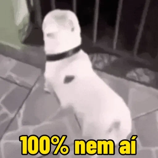 Figurinha de cachorro responde para WhatsApp (6 de 15)