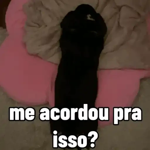 Figurinha de cachorro responde para WhatsApp (10 de 15)