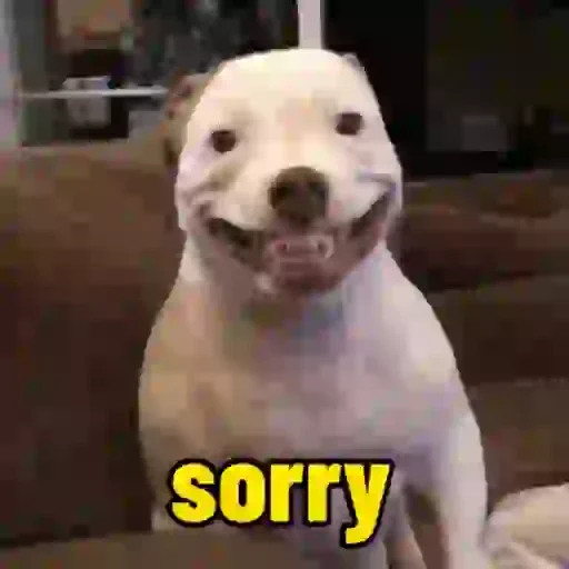 Figurinha de cachorro responde para WhatsApp (12 de 15)