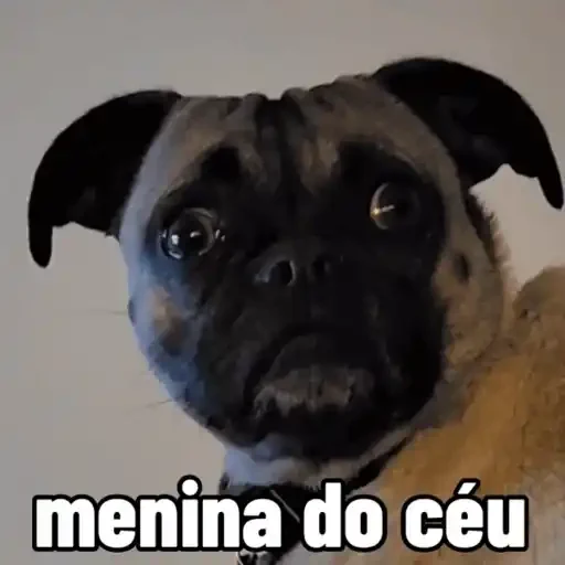 Figurinha de cachorro responde para WhatsApp (14 de 15)
