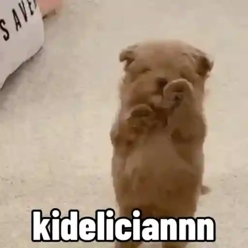 Figurinha de cachorro responde para WhatsApp (15 de 15)