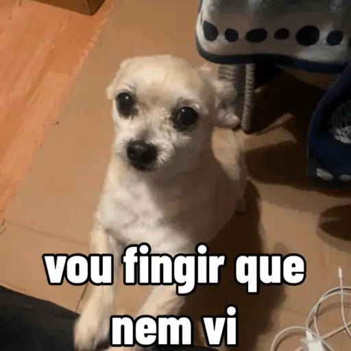 Figurinhas de cachorro responde para WhatsApp
