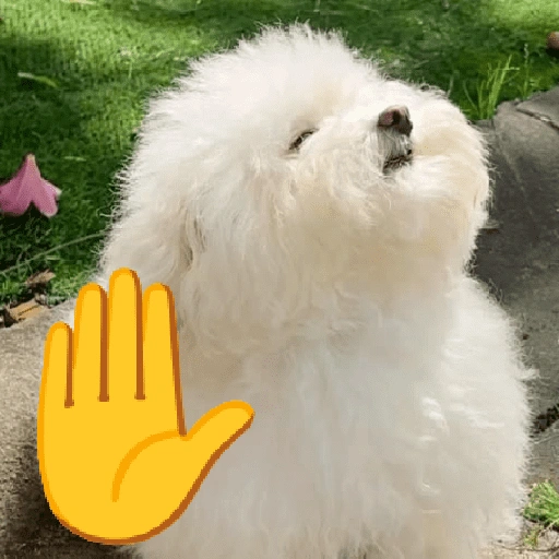 Figurinha de CACHORROS COM EMOJIS 🐶 (2 de 16)