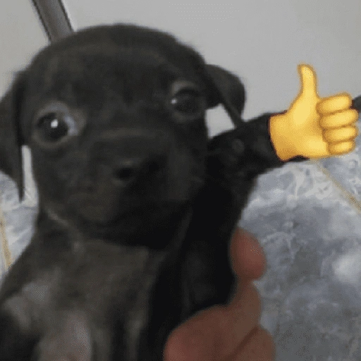 Figurinha de CACHORROS COM EMOJIS 🐶 (7 de 16)