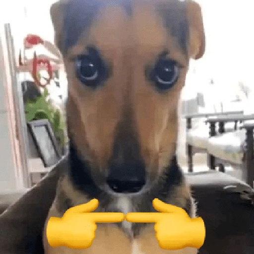 Figurinha de CACHORROS COM EMOJIS 🐶 (11 de 16)