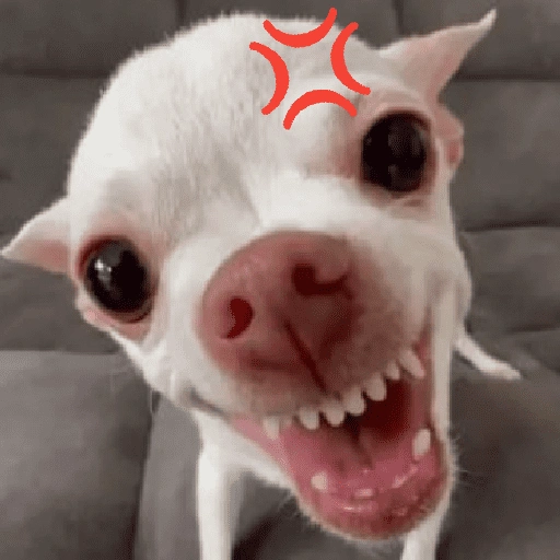 Figurinha de CACHORROS COM EMOJIS 🐶 (16 de 16)