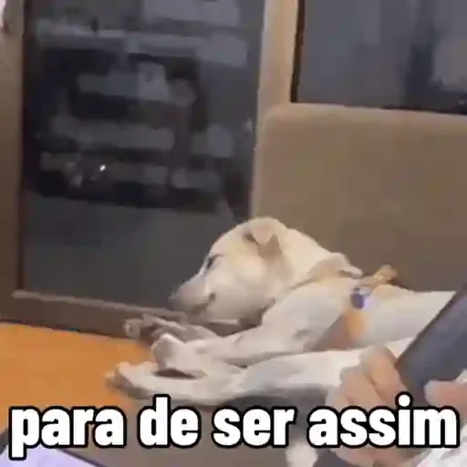 Figurinha de cachorros debochados (1 de 15)