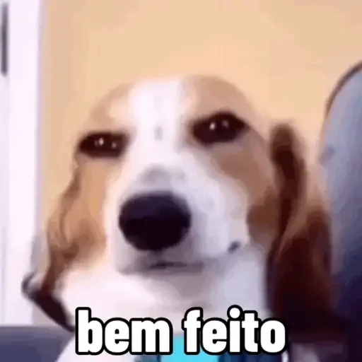 Figurinha de cachorros debochados (3 de 15)
