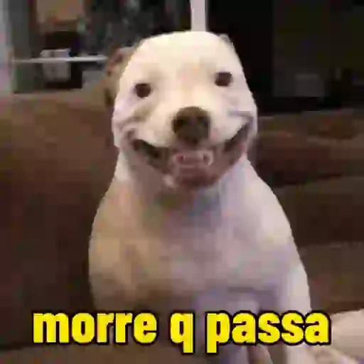 Figurinha de cachorros debochados (4 de 15)