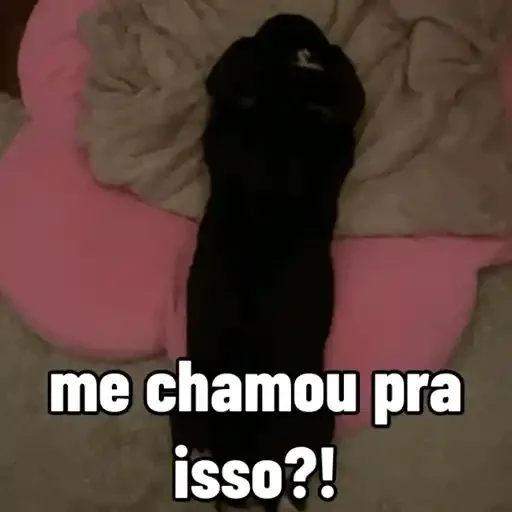 Figurinha de cachorros debochados (9 de 15)