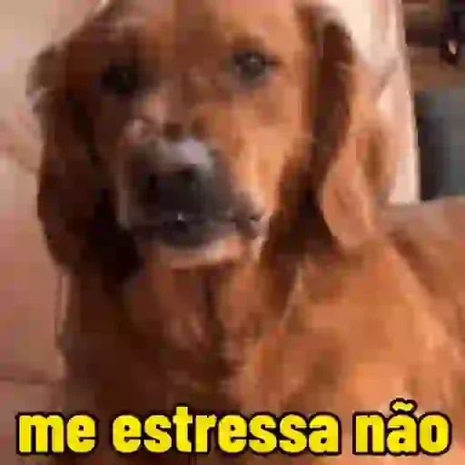 Figurinha de cachorros debochados (12 de 15)
