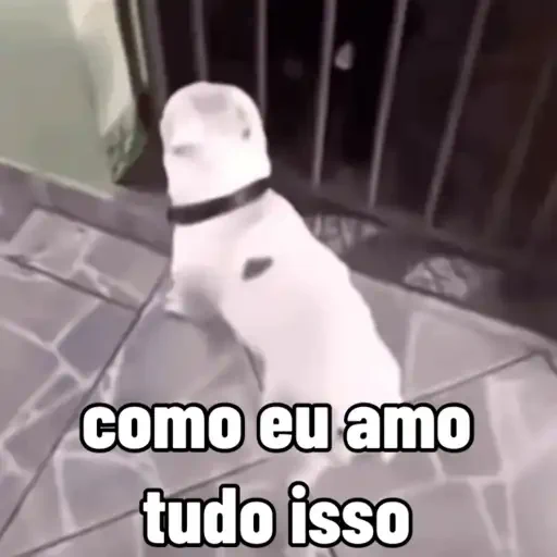 Figurinha de cachorros debochados (14 de 15)