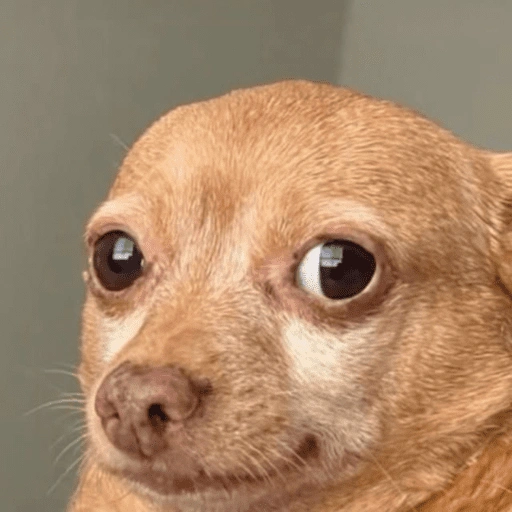 Figurinha de Cachorros engraçado (2 de 16)