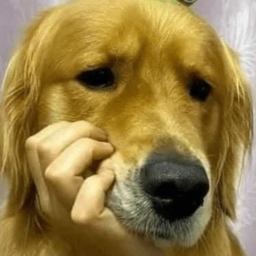 Figurinha de Cachorros engraçado (4 de 16)