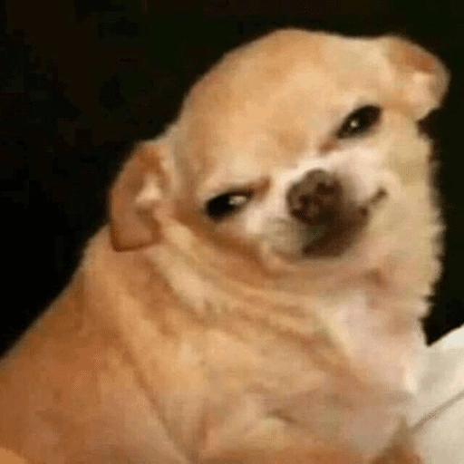 Figurinha de Cachorros engraçado (14 de 16)