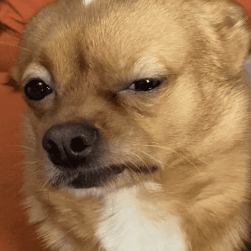 Figurinhas de Cachorros engraçado para WhatsApp
