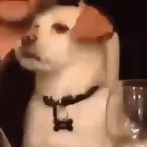Figurinha de Cachorros engraçados (12 de 16)