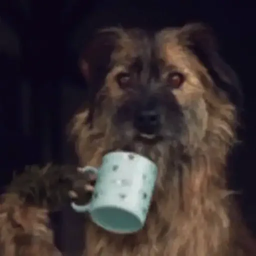 Figurinha de Cachorros engraçados (14 de 16)