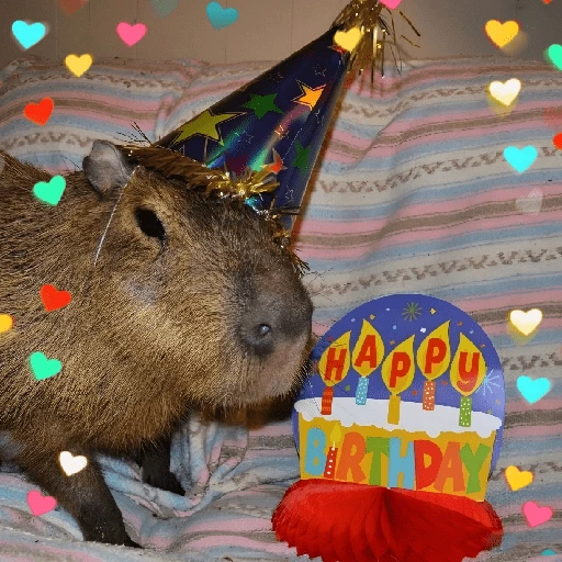 Figurinha de CAPYBARA ♥️🌻 (8 de 30)