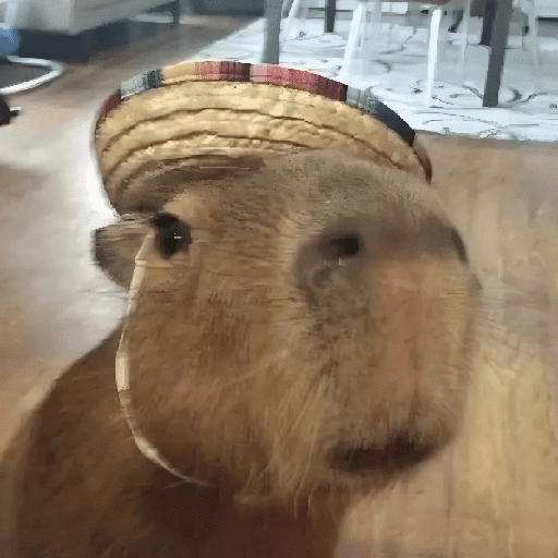 Figurinha de CAPYBARA ♥️🌻 (12 de 30)