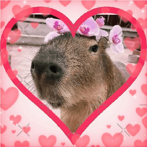 Figurinha de CAPYBARA ♥️🌻 (13 de 30)