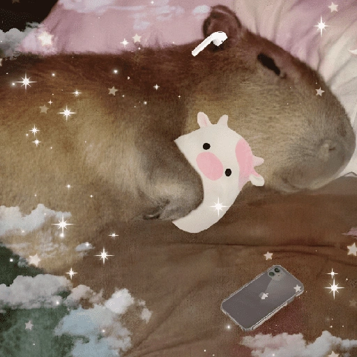 Figurinha de CAPYBARA ♥️🌻 (17 de 30)