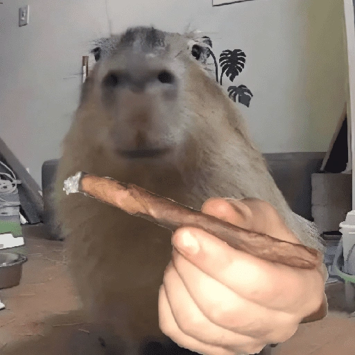 Figurinha de CAPYBARA ♥️🌻 (19 de 30)