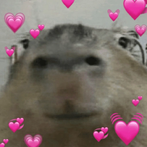 Figurinha de CAPYBARA ♥️🌻 (23 de 30)