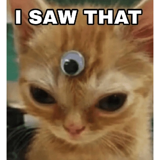 Figurinha de cat meme funny para WhatsApp (23 de 24)