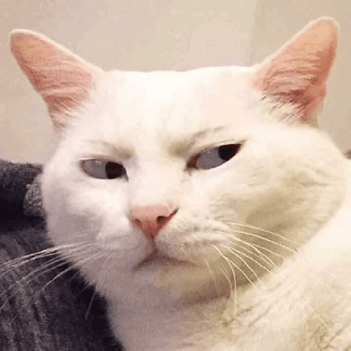 Figurinhas de cat meme funny para WhatsApp