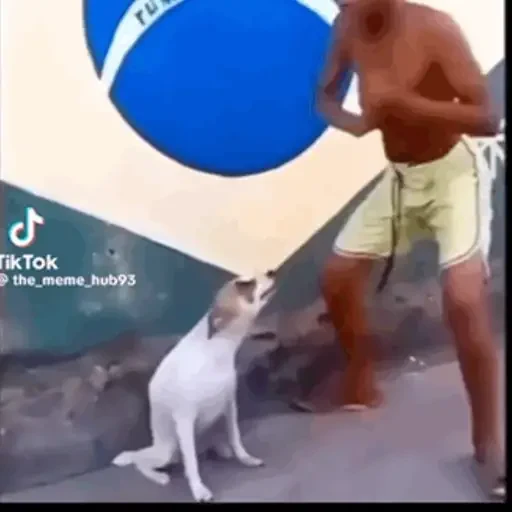Figurinha de CATIORO (13 de 15)