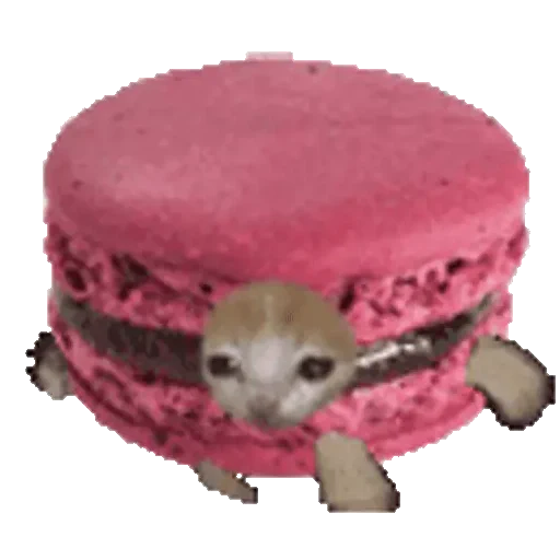 Figurinha de Cats Funny Food 🐱🍉🍎🍟🍕 (2 de 25)