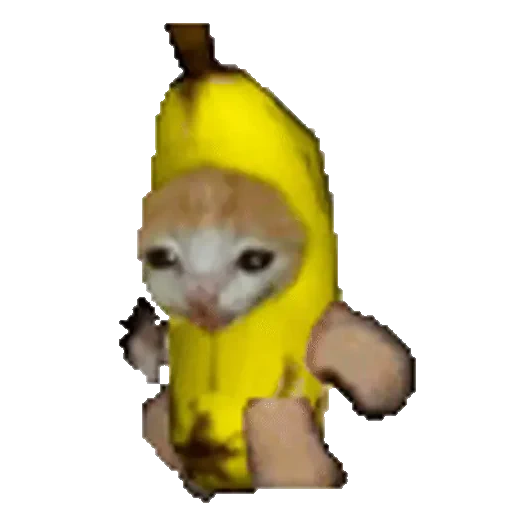 Figurinha de Cats Funny Food 🐱🍉🍎🍟🍕 (3 de 25)